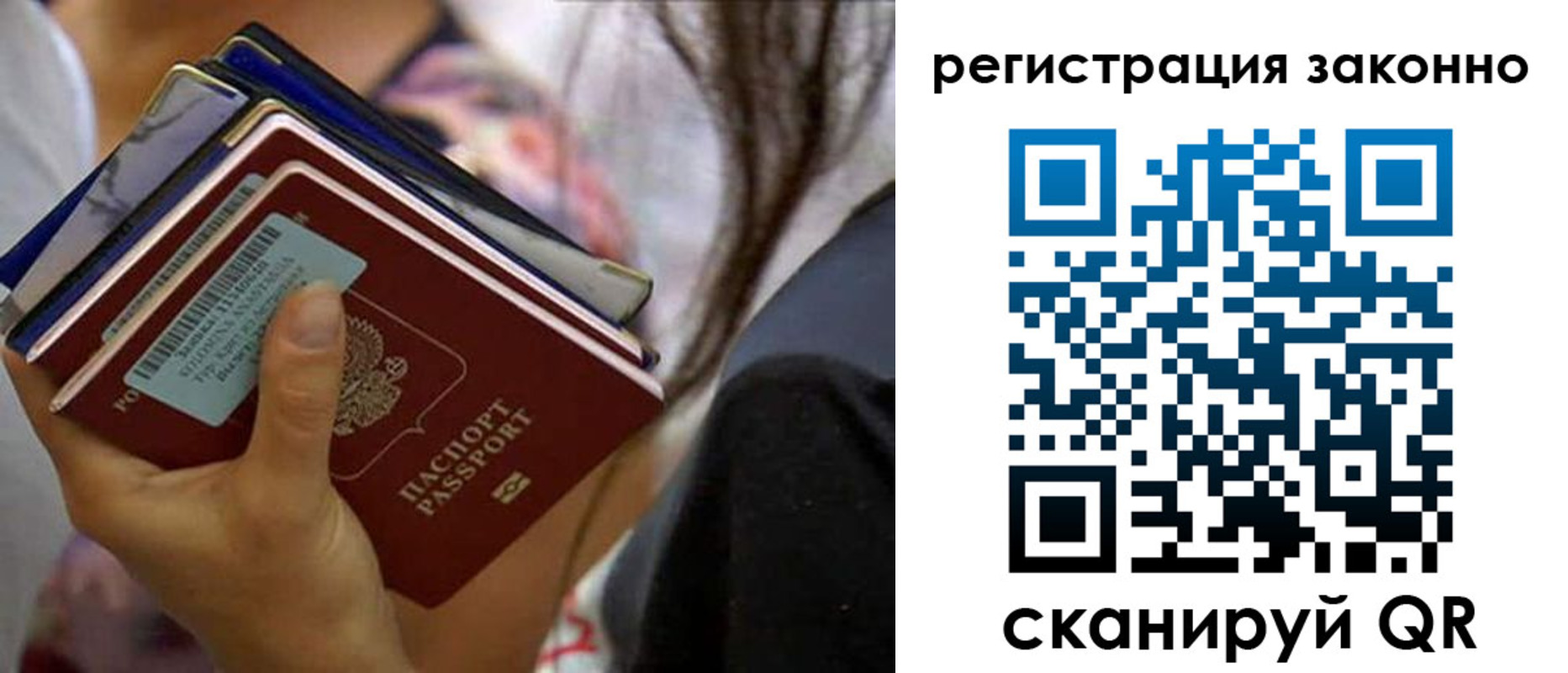 прописка в Светлогорске