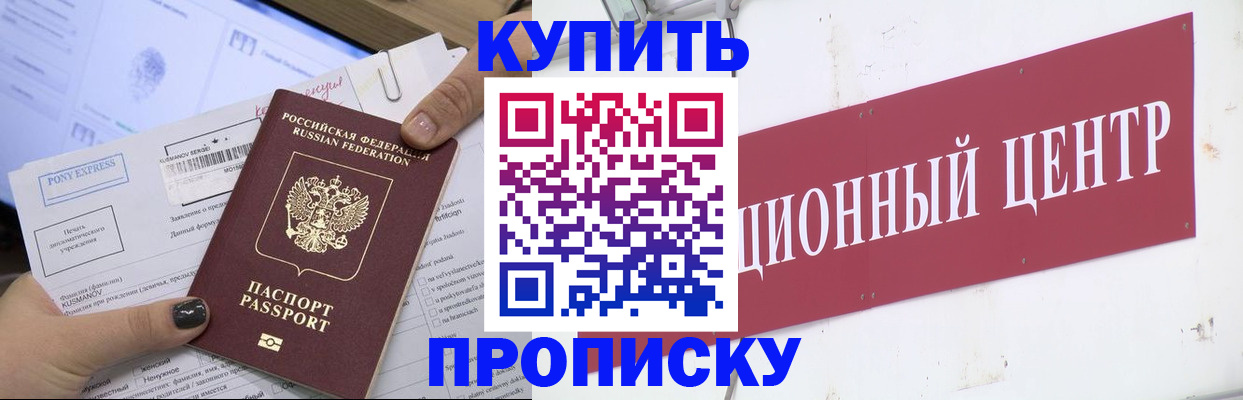 прописка поиск в Светлогорске