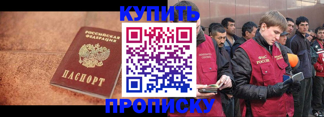 где прописаться в Светлогорске